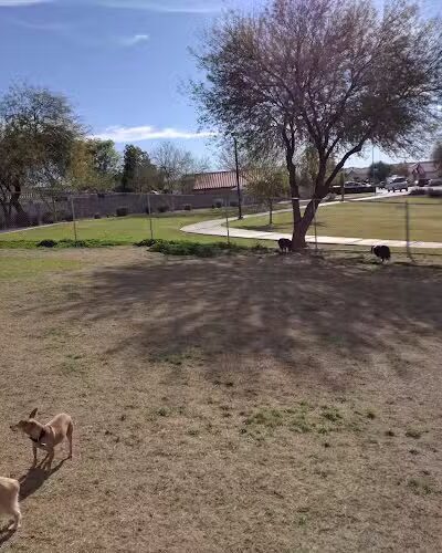 Alta Vista Park Off-leash Dog Park - Peoria, AZ
