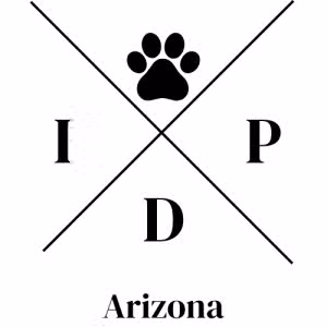Indoor Dog Park - Arizona - Peoria, AZ