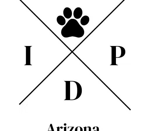Indoor Dog Park - Arizona - Peoria, AZ