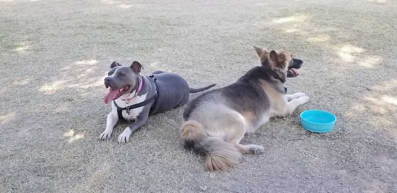 Parkridge Park Dog Park - Peoria, AZ