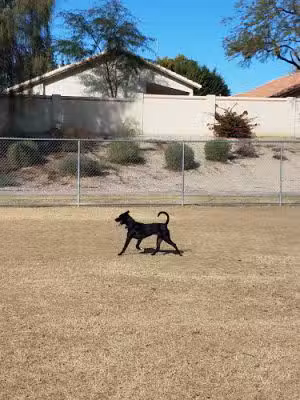 Parkridge Park Dog Park - Peoria, AZ