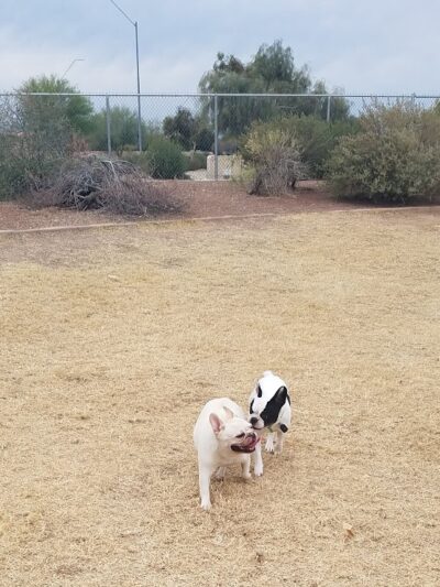 Parkridge Park Dog Park - Peoria, AZ