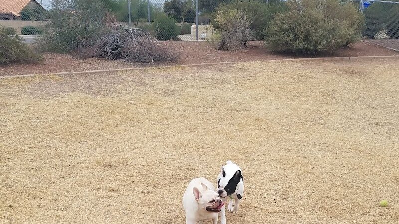 Parkridge Park Dog Park - Peoria, AZ