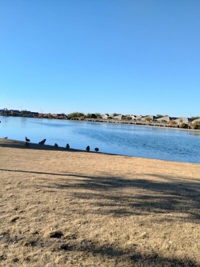 Pioneer Community Park: Dog Park - Peoria, AZ