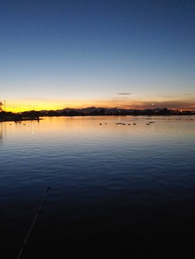 Pioneer Community Park: Dog Park - Peoria, AZ