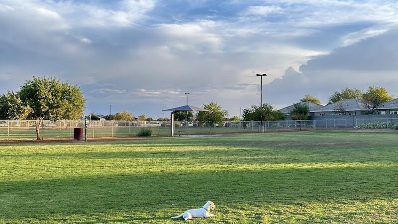 Pioneer Community Park: Dog Park - Peoria, AZ