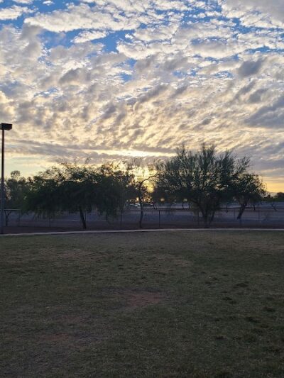 Scotland Yard Dog Park - Peoria, AZ
