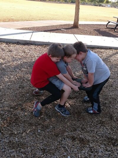 Scotland Yard Dog Park - Peoria, AZ