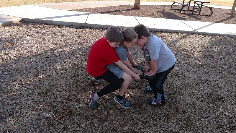 Scotland Yard Dog Park - Peoria, AZ