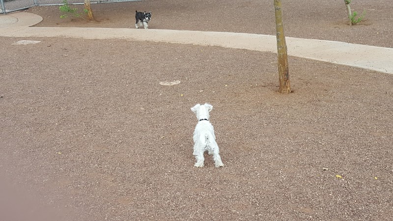 Scotland Yard Dog Park - Peoria, AZ