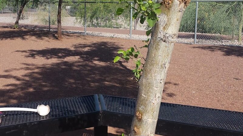 Scotland Yard Dog Park - Peoria, AZ