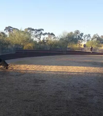 Scotland Yard Dog Park - Peoria, AZ