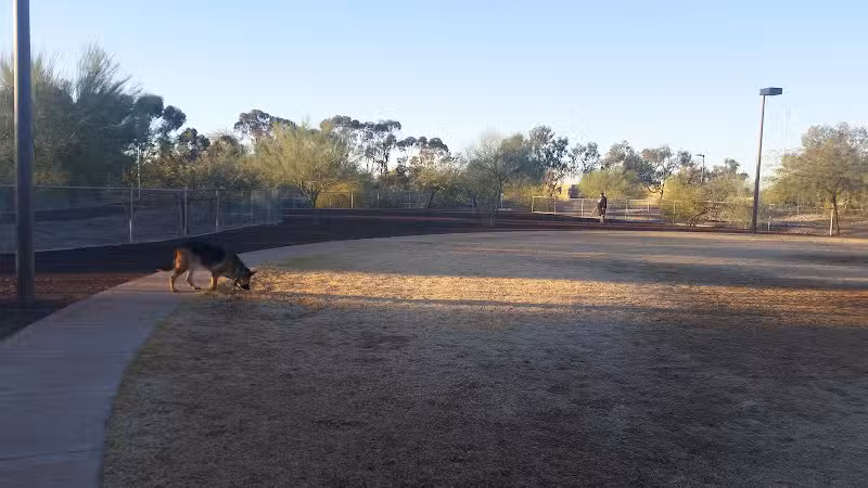 Scotland Yard Dog Park - Peoria, AZ