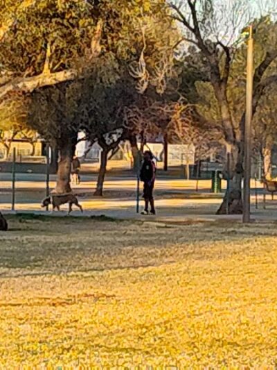 Sunnyslope Dog Park - Peoria, AZ