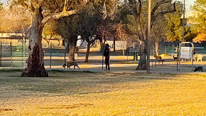 Sunnyslope Dog Park - Peoria, AZ