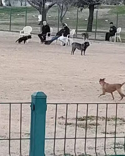 Sunnyslope Dog Park - Peoria, AZ