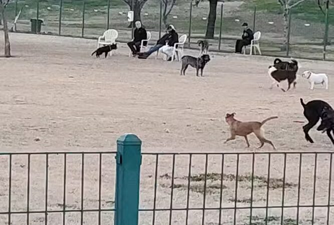 Sunnyslope Dog Park - Peoria, AZ