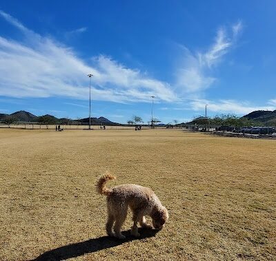 Paloma Dog Park - Peoria, AZ