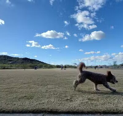 Paloma Dog Park - Peoria, AZ