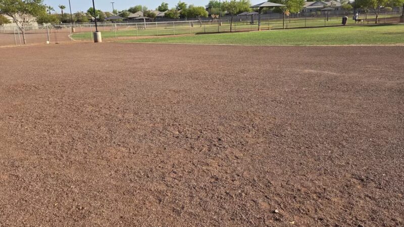 Pioneer Community Park: Dog Park - Peoria, AZ