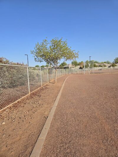 Pioneer Community Park: Dog Park - Peoria, AZ