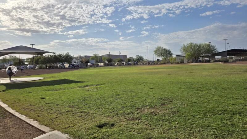 Pioneer Community Park: Dog Park - Peoria, AZ