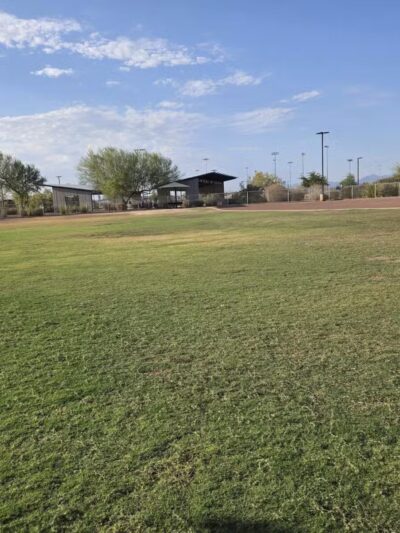Pioneer Community Park: Dog Park - Peoria, AZ