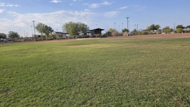 Pioneer Community Park: Dog Park - Peoria, AZ