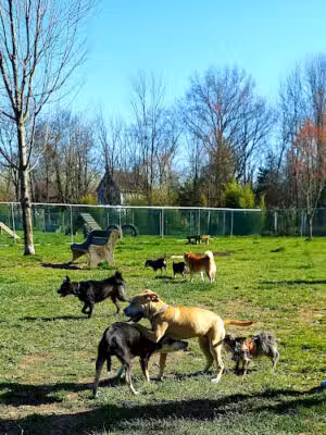Perkasie Dog Park - Perkasie, PA
