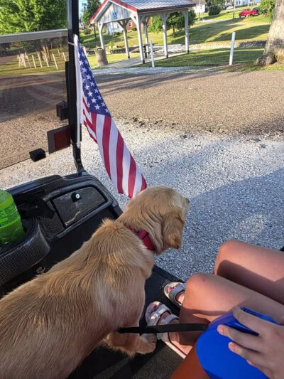 Bill Trower Memorial Park - Perry, MO