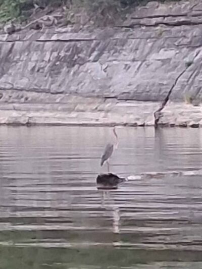 Mark Twain Lake - Perry, MO