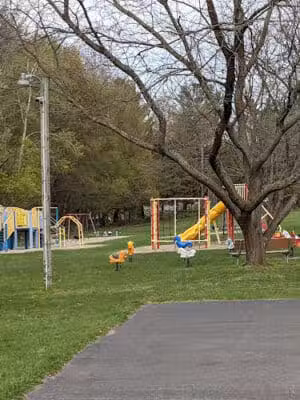 Woodhull Twp Park - Perry,