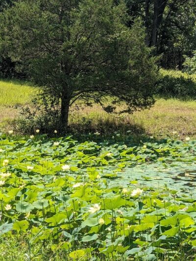 Indian Creek Beach - Perry, MO