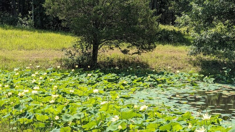 Indian Creek Beach - Perry, MO