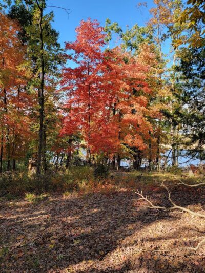 Ray Behrens Recreation Area - Perry, MO