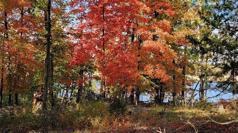 Ray Behrens Recreation Area - Perry, MO
