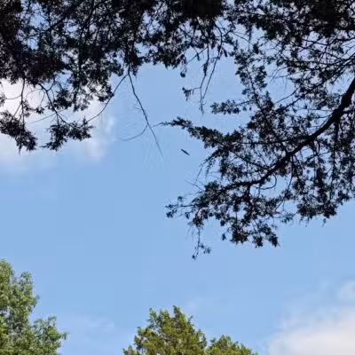 Ray Behrens Recreation Area - Perry, MO