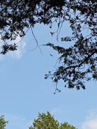 Ray Behrens Recreation Area - Perry, MO