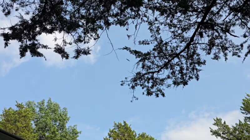 Ray Behrens Recreation Area - Perry, MO