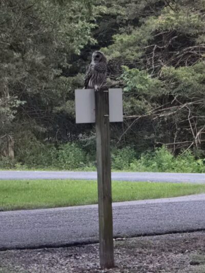 Ray Behrens Recreation Area - Perry, MO
