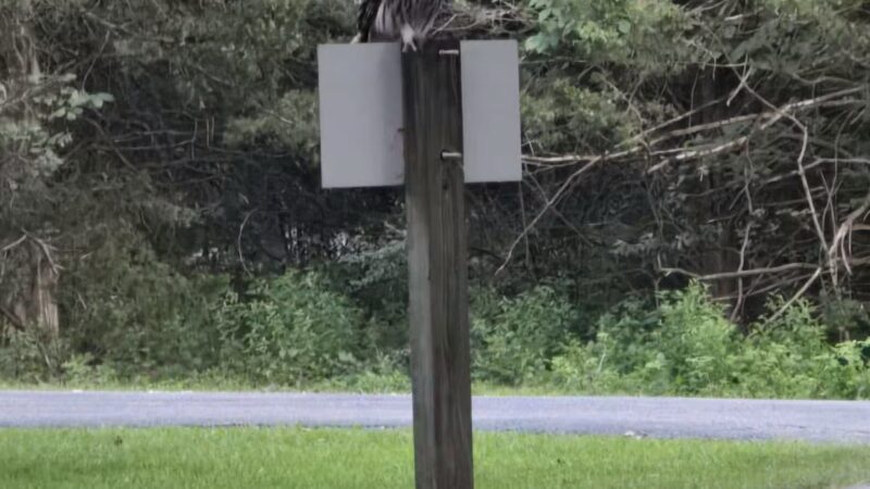 Ray Behrens Recreation Area - Perry, MO