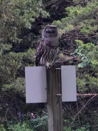 Ray Behrens Recreation Area - Perry, MO