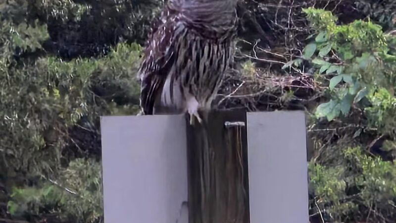 Ray Behrens Recreation Area - Perry, MO