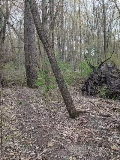 Woodhull Twp Park - Perry,