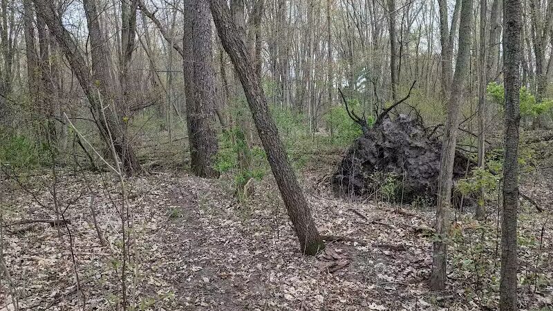 Woodhull Twp Park - Perry,