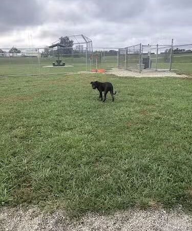 Perryville Dog Park - Perryville, MO