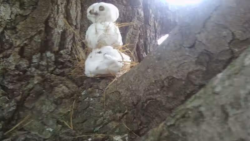 Curtis Park - Petoskey, MI