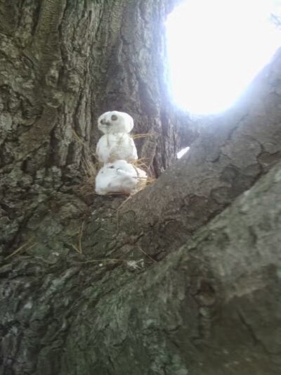 Curtis Park - Petoskey, MI