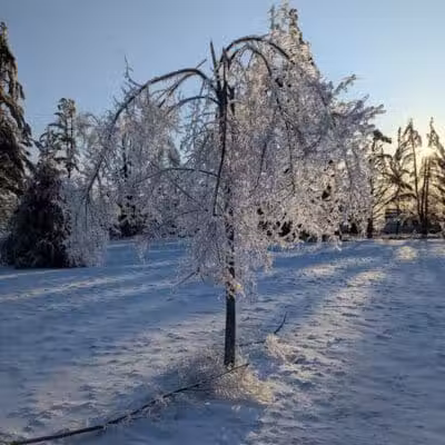 Curtis Park - Petoskey, MI