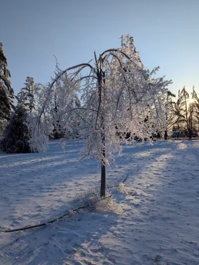 Curtis Park - Petoskey, MI